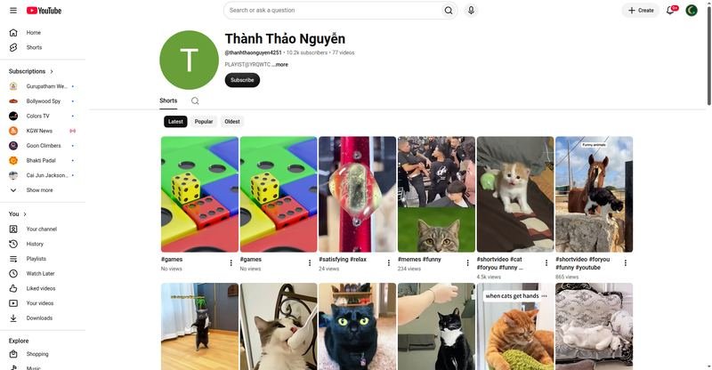 Thành Thảo Nguyễn — YouTube channel screenshot